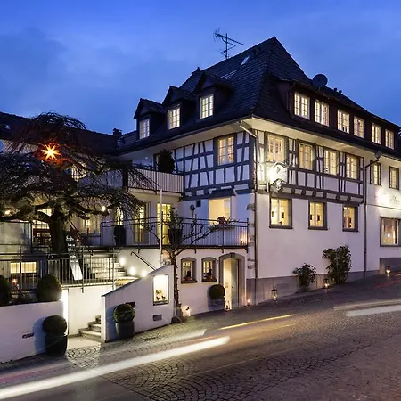 Hotel Bodenseehotel Renn Hagnau am Bodensee