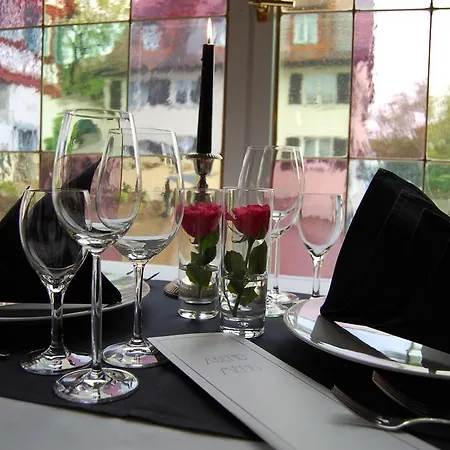 Hotel Bodenseehotel Renn 4*