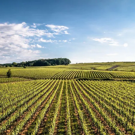 Hotel Bodenseehotel Renn