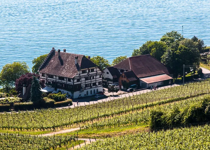 Bodenseehotel Renn 호텔 4*