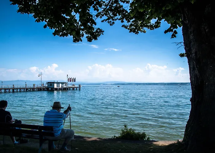 Bodenseehotel Renn 호텔