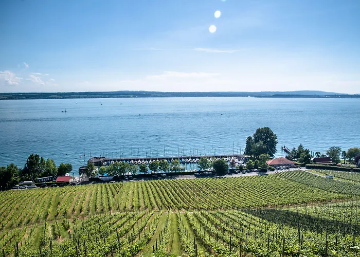 호텔 Bodenseehotel Renn