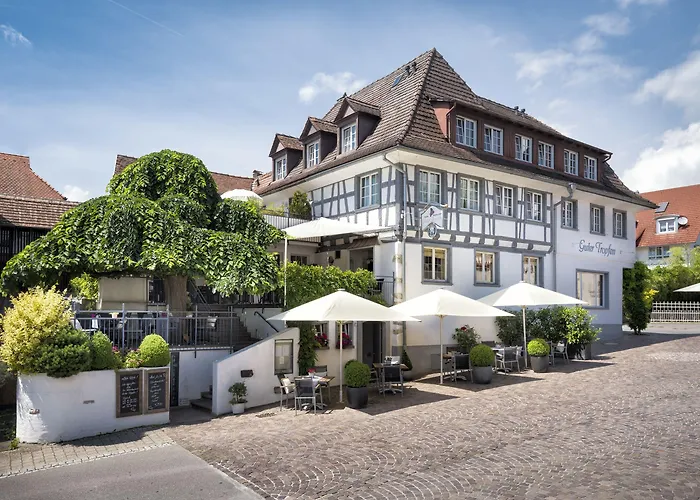 Bodenseehotel Renn 4* 하그나우