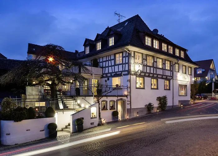 호텔 Bodenseehotel Renn 하그나우