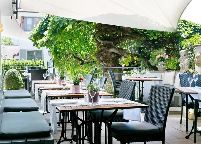 호텔 Bodenseehotel Renn 하그나우